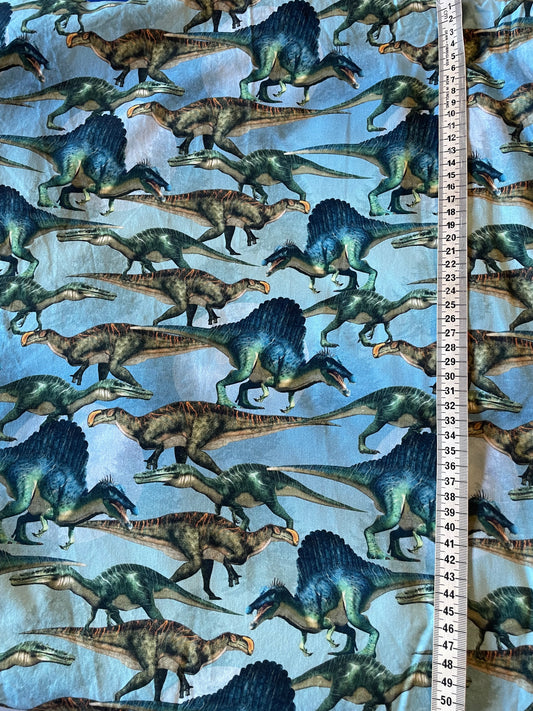 Dinos on Blue - Made to order